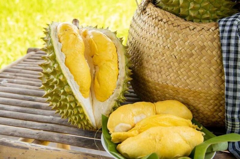 Không nên ăn quá nhiều sầu riêng một lúc để tránh gây hại cho cơ thể